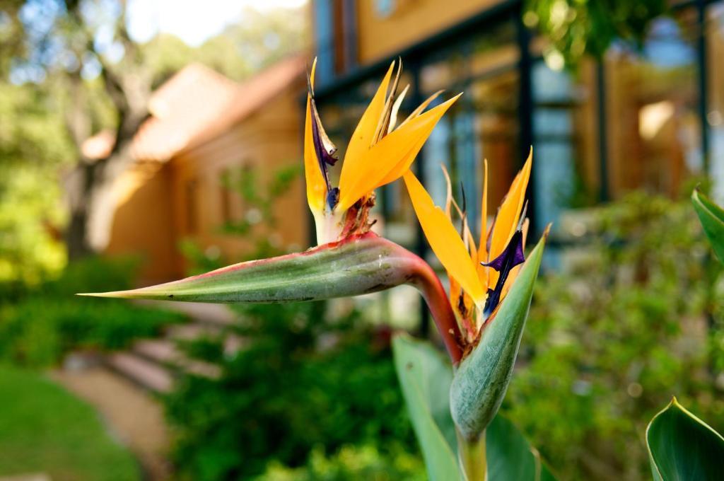 Cap Serein Guest House كيب تاون المظهر الخارجي الصورة