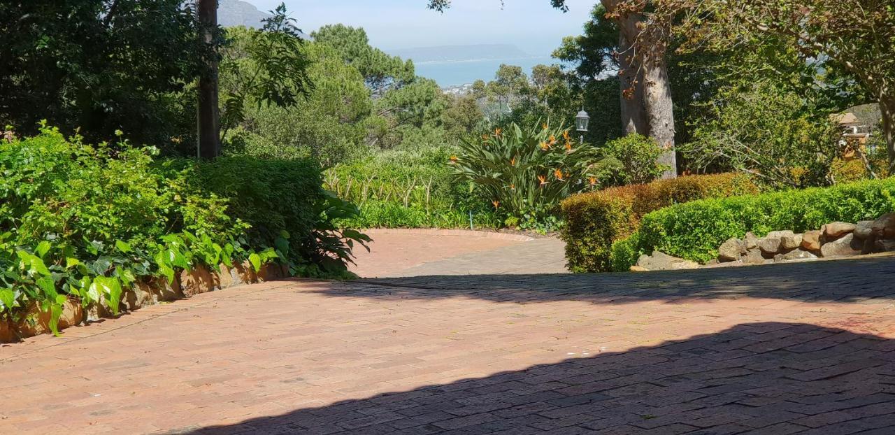 Cap Serein Guest House كيب تاون المظهر الخارجي الصورة