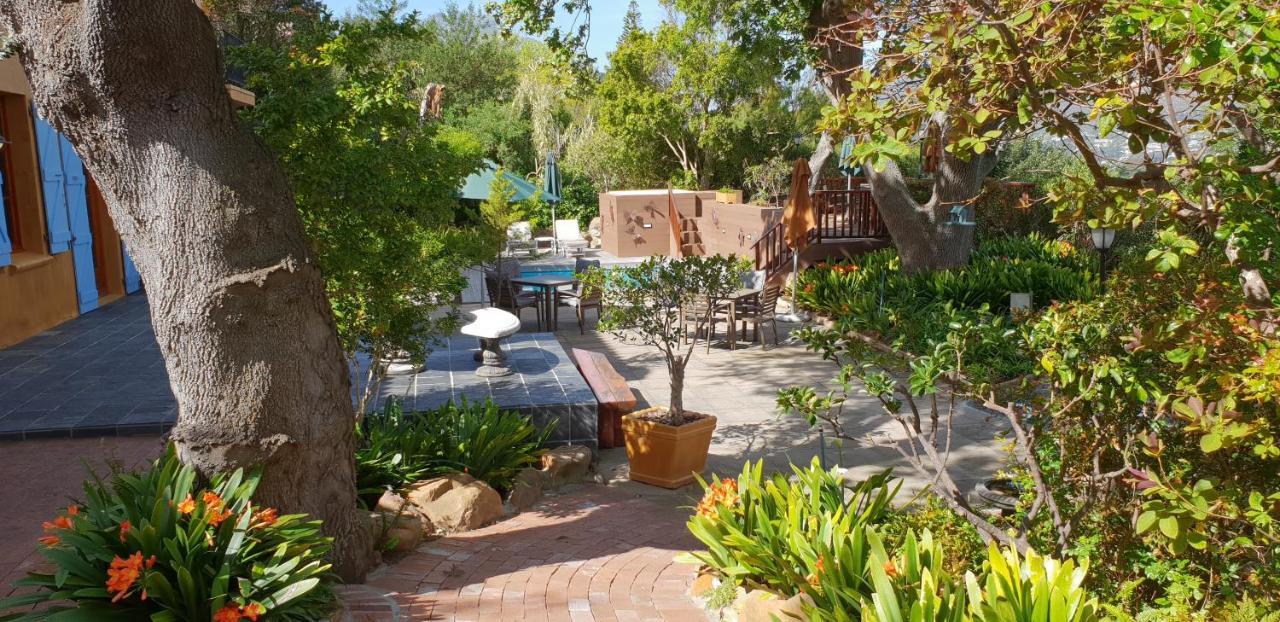 Cap Serein Guest House كيب تاون المظهر الخارجي الصورة