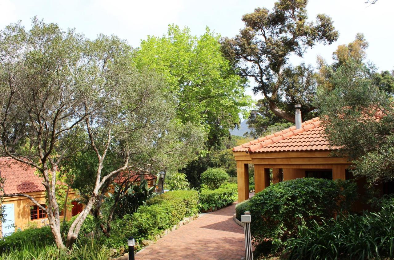 Cap Serein Guest House كيب تاون المظهر الخارجي الصورة