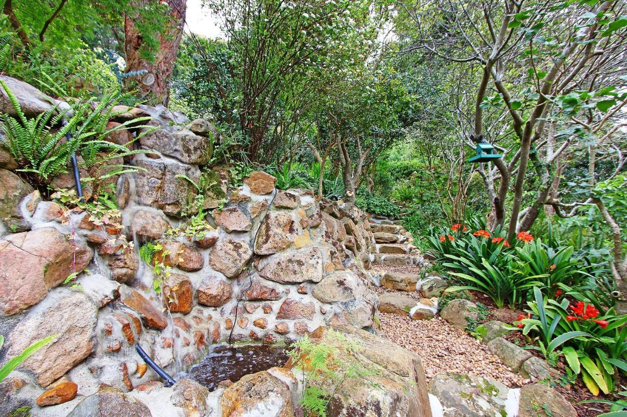 Cap Serein Guest House كيب تاون المظهر الخارجي الصورة
